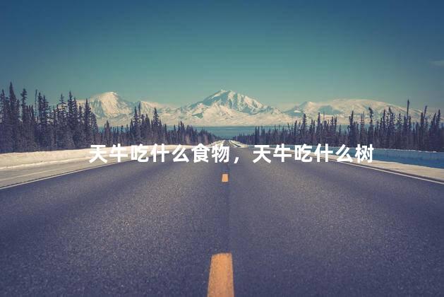 天牛吃什么食物，天牛吃什么树