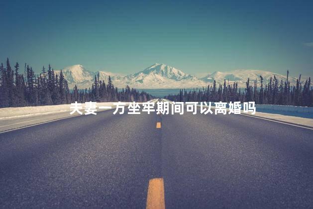 夫妻一方坐牢期间可以离婚吗