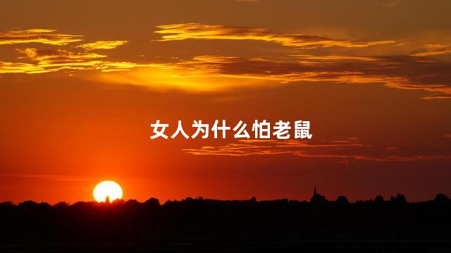 女人为什么怕老鼠