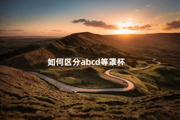 如何区分abcd等罩杯