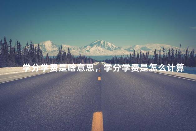学分学费是啥意思，学分学费是怎么计算