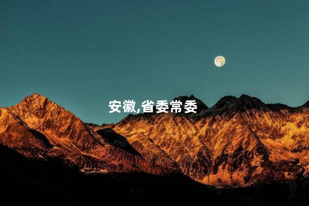 安徽,省委常委