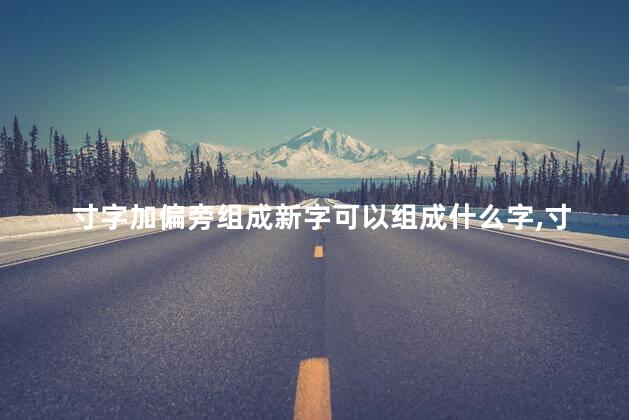 寸字加偏旁组成新字可以组成什么字,寸字加偏旁组新字有哪些 寸字加偏旁组成新字可以组成什么字,寸字加偏旁组新字有哪些