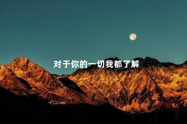 对于你的一切我都了解