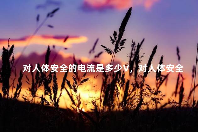 对人体安全的电流是多少V，对人体安全的电流是多少A