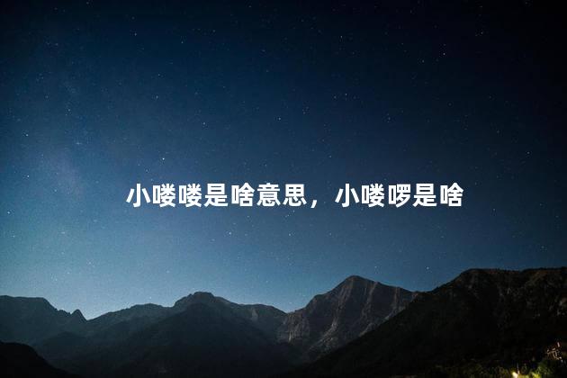 小喽喽是啥意思，小喽啰是啥