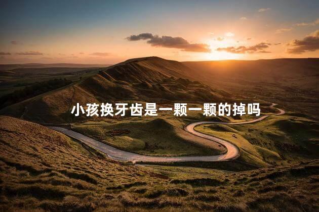 小孩换牙齿是一颗一颗的掉吗