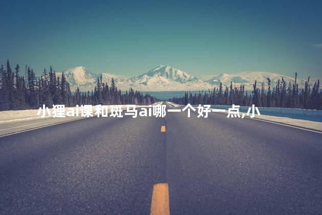 小狸ai课和斑马ai哪一个好一点,小狸ai课和斑马ai课对比 小狸ai课和斑马ai哪一个好一点,小狸ai课和斑马ai课对比