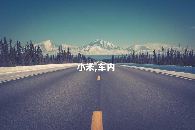小米,车内