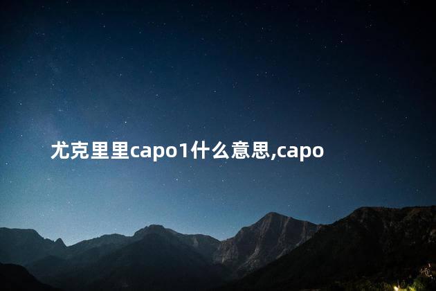 尤克里里capo1什么意思,capo2尤克里里 尤克里里capo1什么意思,capo2尤克里里
