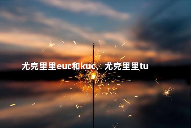 尤克里里euc和kuc，尤克里里tuc和tus