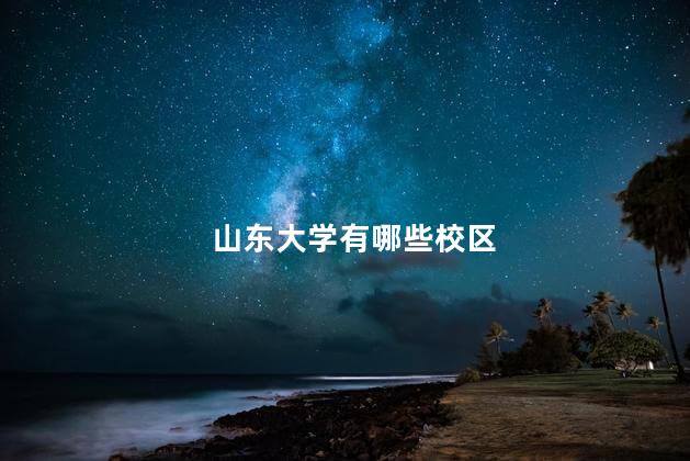 山东大学有哪些校区