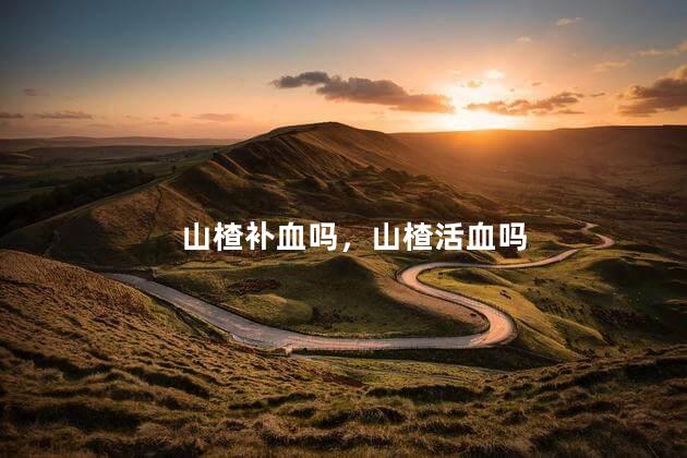 山楂补血吗，山楂活血吗