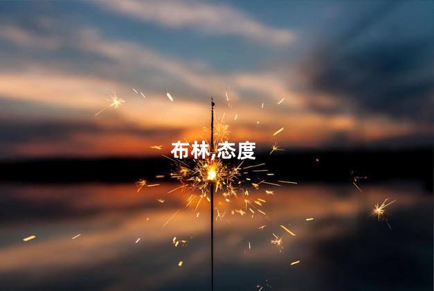 布林,态度