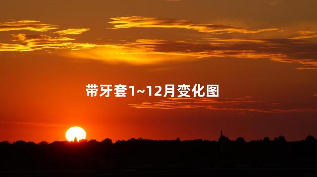 带牙套1~12月变化图
