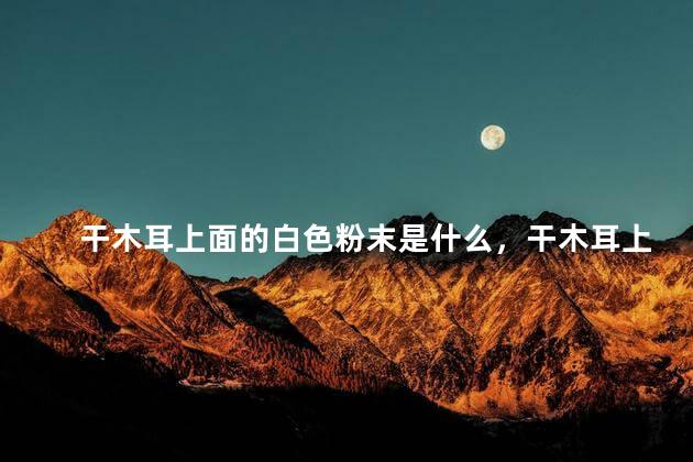 干木耳上面的白色粉末是什么，干木耳上面的白色粉末是什么原因