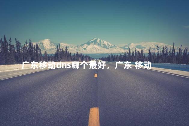 广东移动dns哪个最好，广东 移动 dns