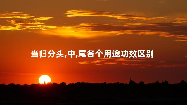 当归分头,中,尾各个用途功效区别