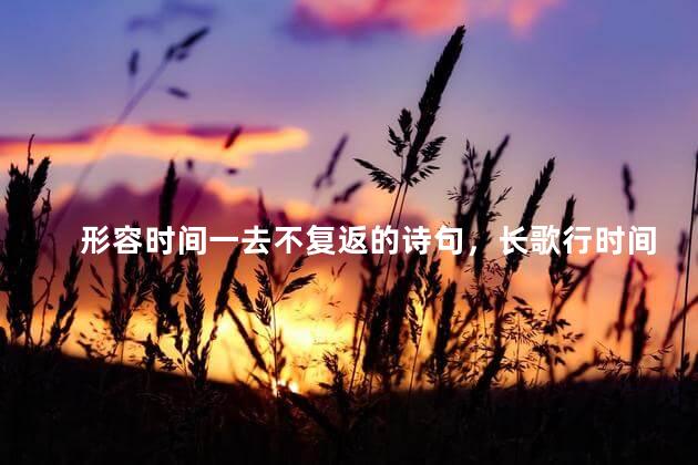 形容时间一去不复返的诗句，长歌行时间一去不复返的诗句