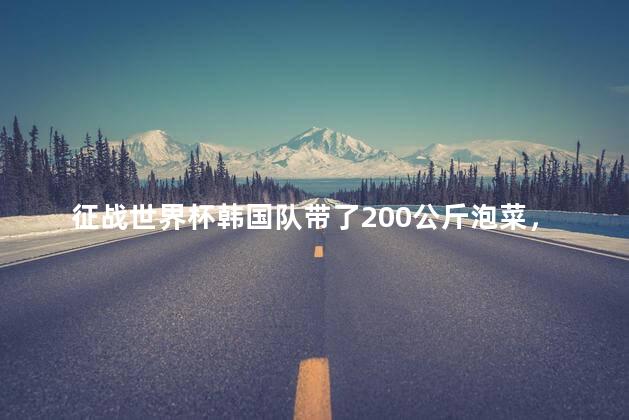 征战世界杯韩国队带了200公斤泡菜，征战世界杯韩国队带了200公斤泡菜的是谁