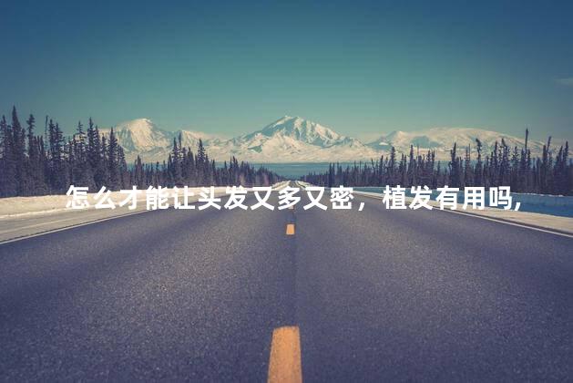 怎么才能让头发又多又密，植发有用吗,可以维持多久