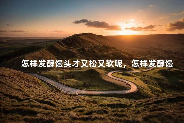 怎样发酵馒头才又松又软呢，怎样发酵馒头才又松又软呢