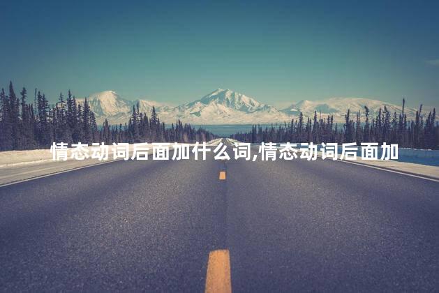 情态动词后面加什么词,情态动词后面加动词原形吗 情态动词后面加什么词,情态动词后面加动词原形吗