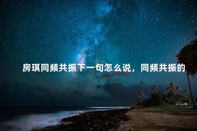 房琪同频共振下一句怎么说，同频共振的含义和特点
