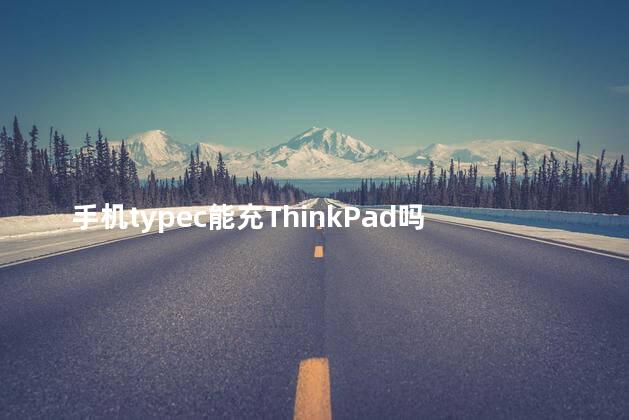 手机typec能充ThinkPad吗 手机typec能充ThinkPad吗