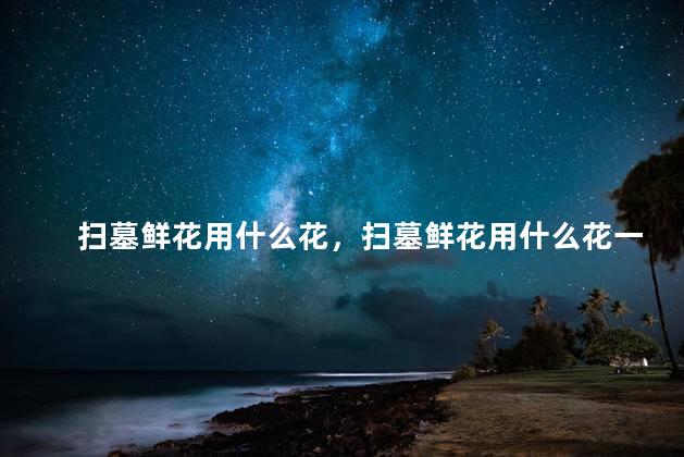 扫墓鲜花用什么花，扫墓鲜花用什么花一般几支