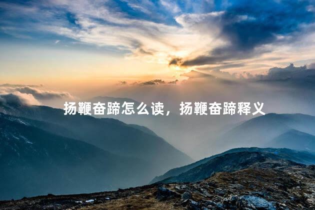 扬鞭奋蹄怎么读，扬鞭奋蹄释义