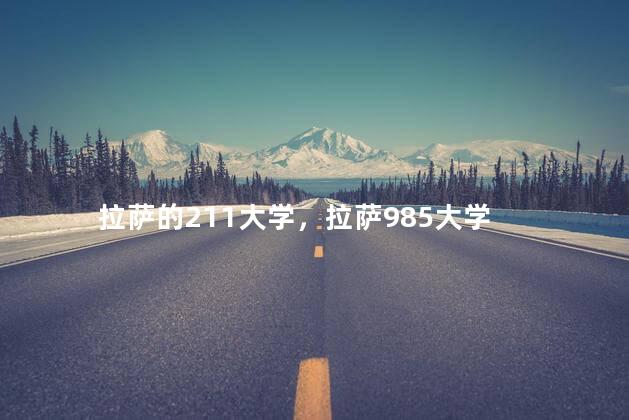 拉萨的211大学，拉萨985大学