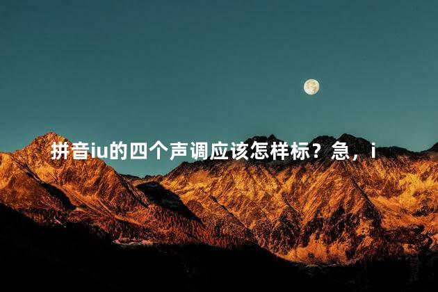 拼音iu的四个声调应该怎样标？急，iu的四个声调怎么标注？