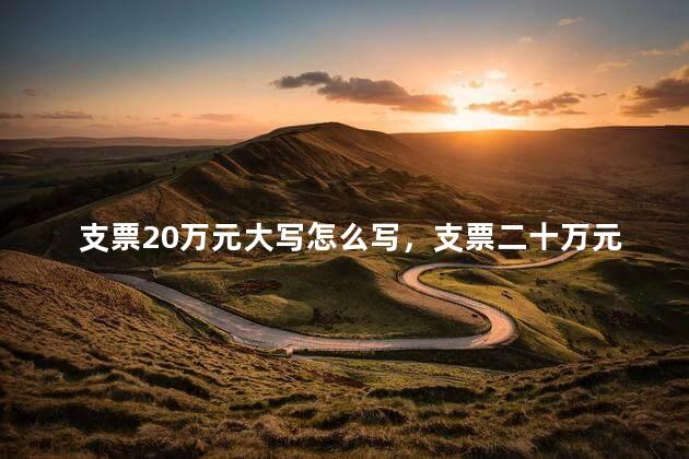 支票20万元大写怎么写，支票二十万元怎么写