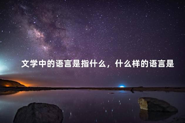 文学中的语言是指什么，什么样的语言是文学语言