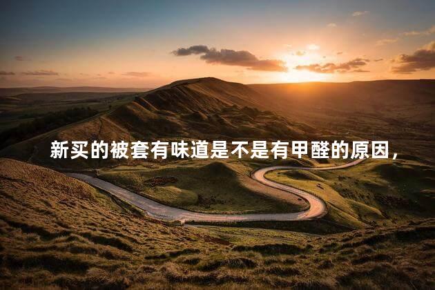 新买的被套有味道是不是有甲醛的原因，新买的被套有味道是不是有甲醛的原因呢