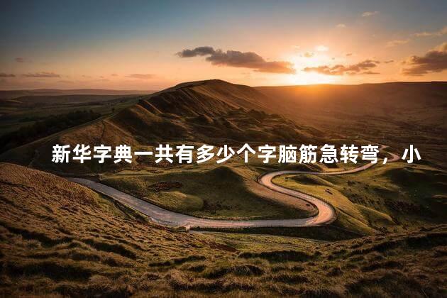 新华字典一共有多少个字脑筋急转弯，小学生新华字典一共有多少个字
