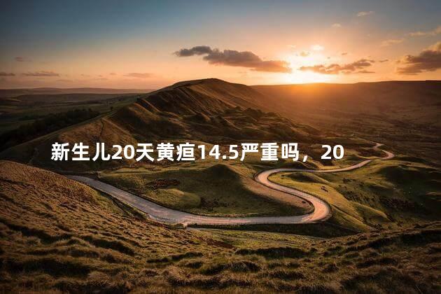 新生儿20天黄疸14.5严重吗，20天的新生儿黄疸14.3正常么