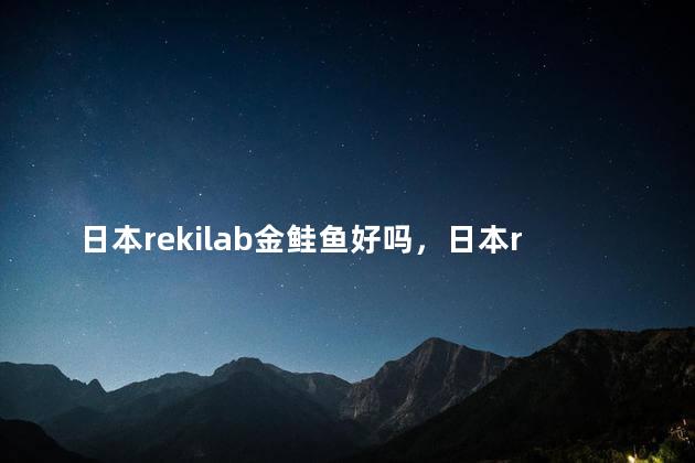 日本rekilab金鲑鱼好吗，日本rekilab金鲑鱼官网