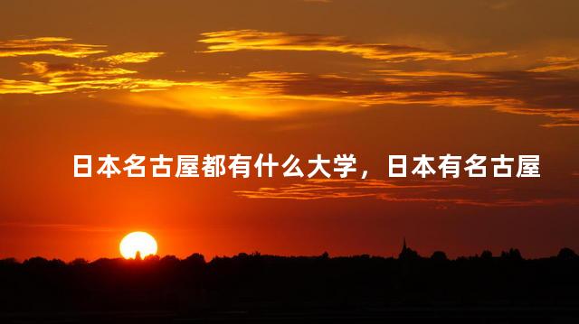 日本名古屋都有什么大学，日本有名古屋大学吗