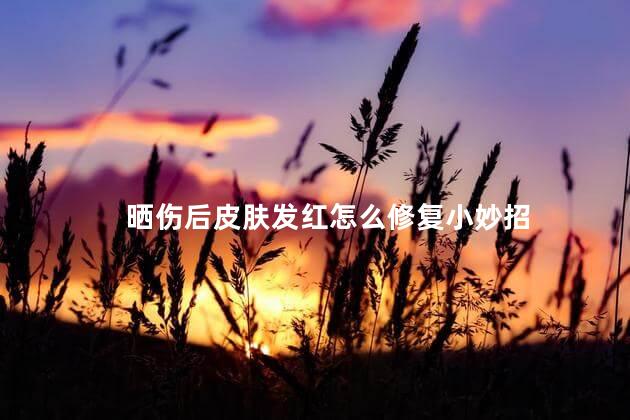 晒伤后皮肤发红怎么修复小妙招