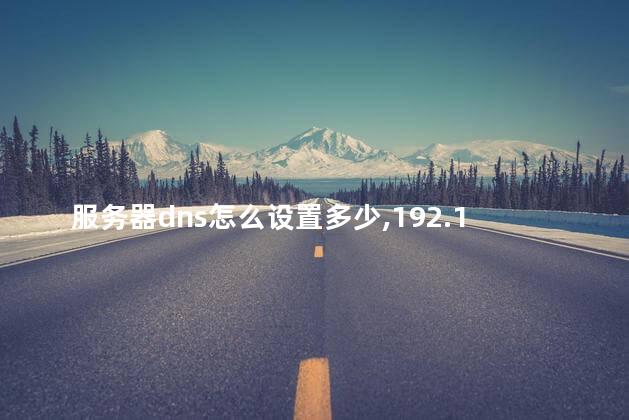 服务器dns怎么设置多少,192.168.1.1的首选dns 服务器dns怎么设置多少,192.168.1.1的首选dns