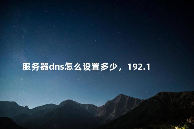 服务器dns怎么设置多少，192.168.1.1的首选dns