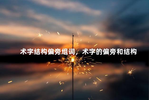 术字结构偏旁组词，术字的偏旁和结构
