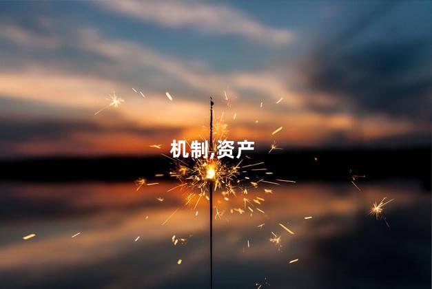 机制,资产