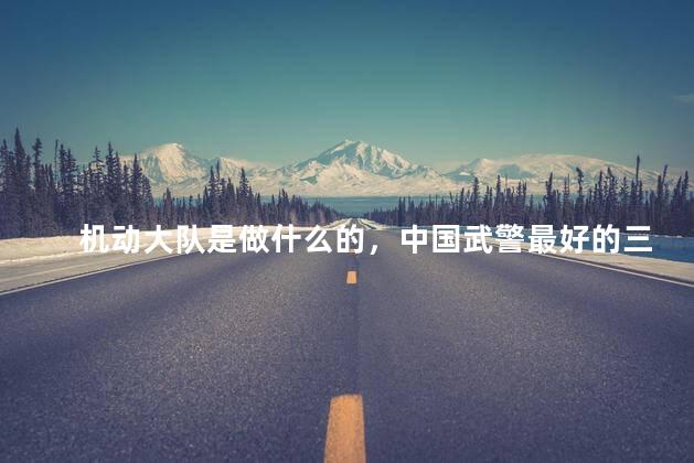 机动大队是做什么的，中国武警最好的三个兵种