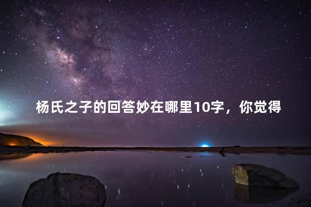杨氏之子的回答妙在哪里10字，你觉得杨氏之子的回答妙在哪里？