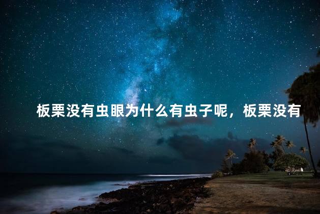 板栗没有虫眼为什么有虫子呢，板栗没有虫眼为什么有虫子呢