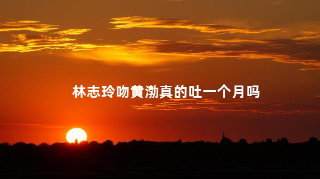 林志玲吻黄渤真的吐一个月吗
