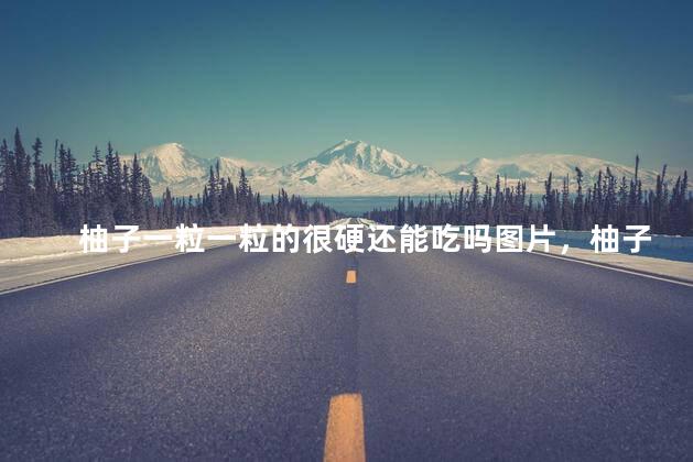 柚子一粒一粒的很硬还能吃吗图片，柚子一粒一粒的很硬还能吃吗大全